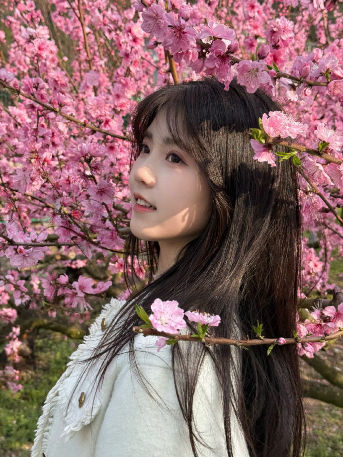 中的IP地址轮换策略