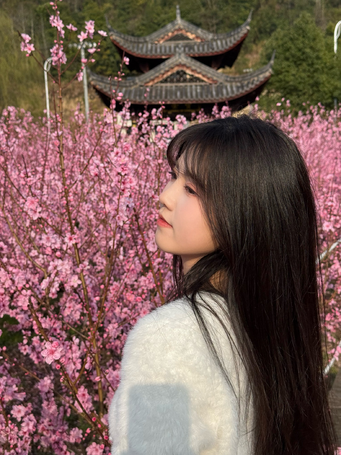 在营销型网站SEO中的适配场景