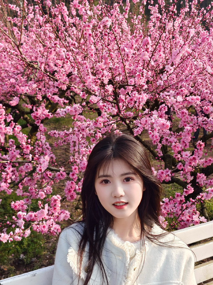 如何提升内容页参与排名的可能性