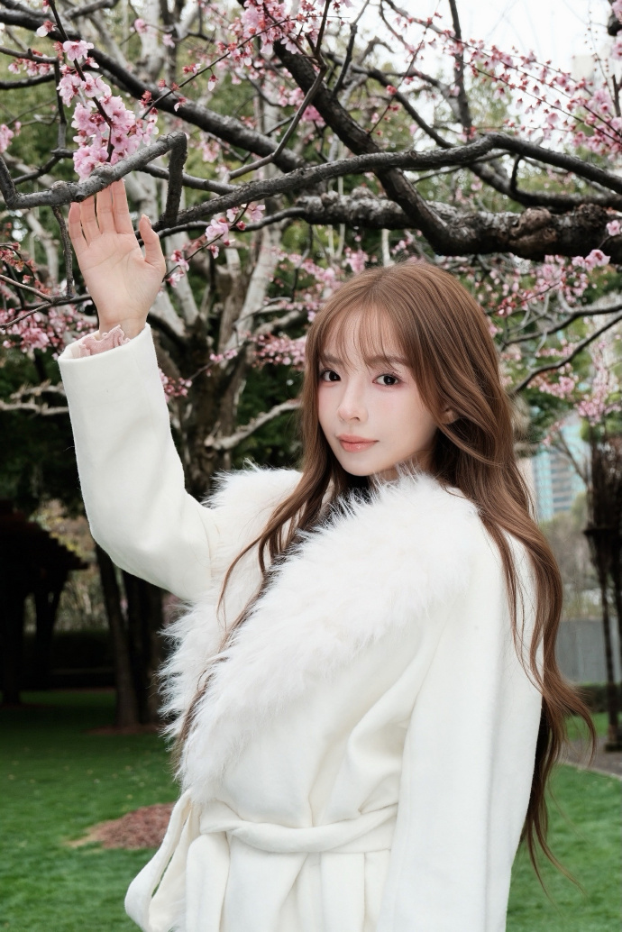 和Schema结构化数据的配合