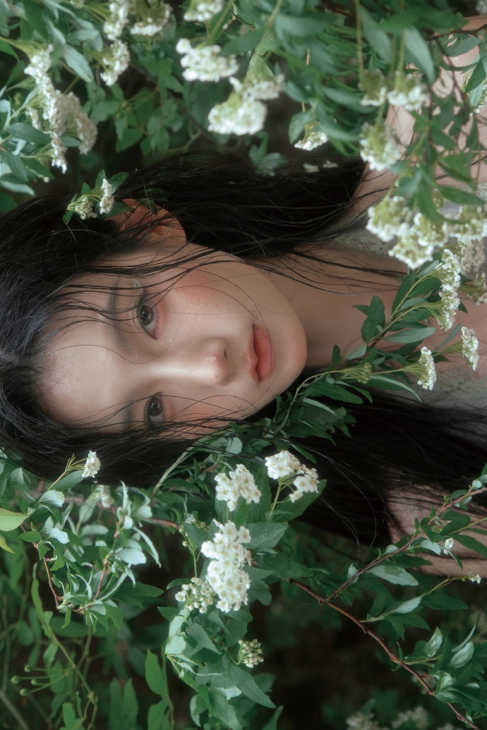 能否提升收录质量？