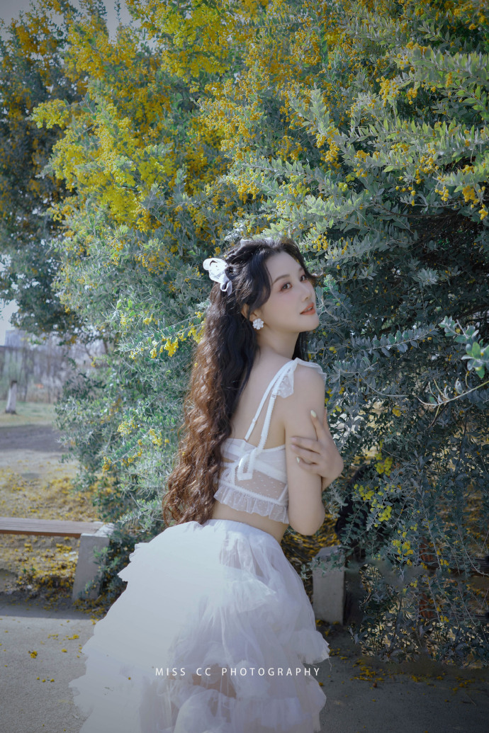 和Schema结构化数据的配合